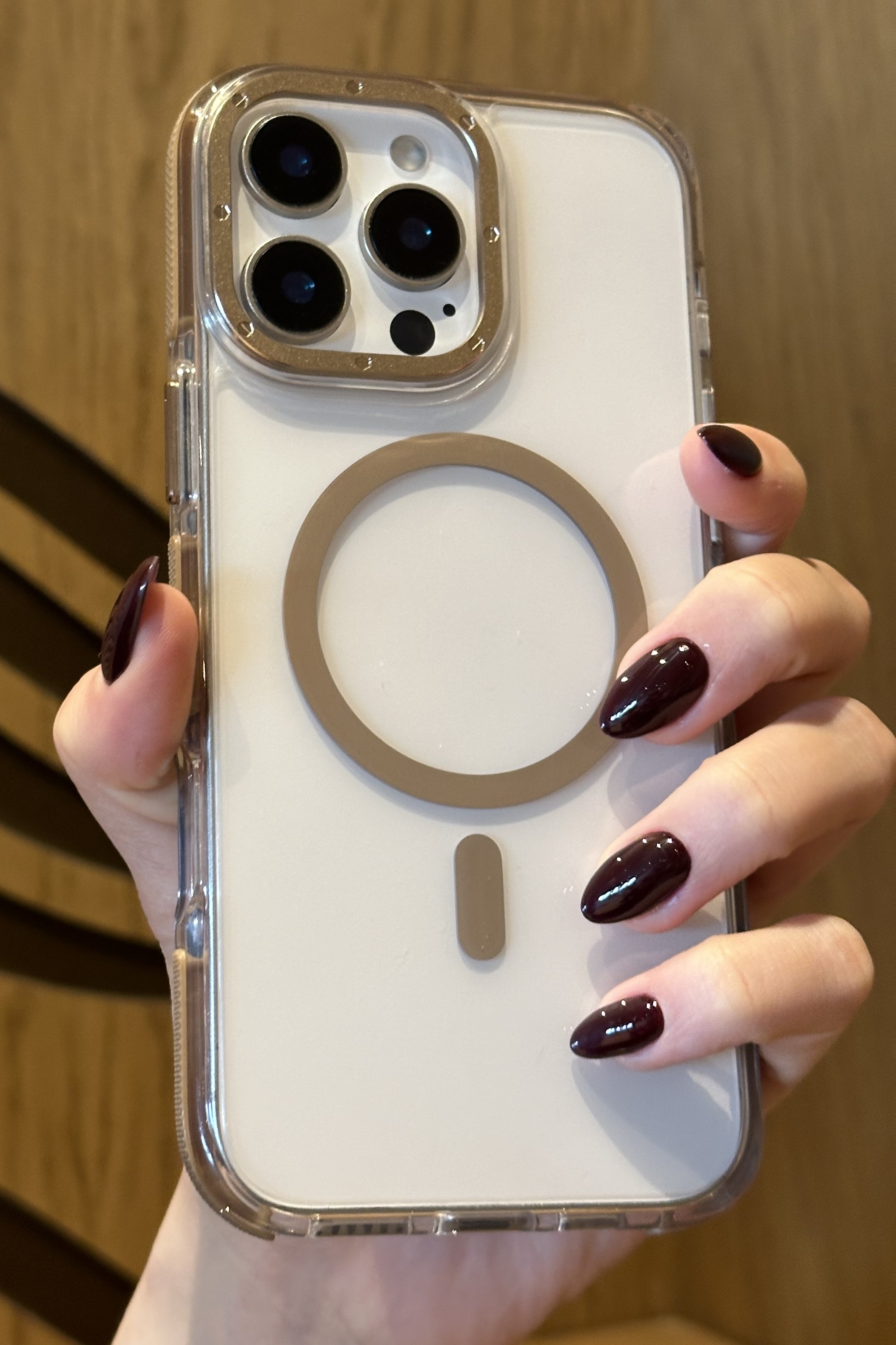 iPhone 16 Pro Uyumlu Darbelere Karşı Korumalı Magsafe Özellikli Çöl Titanyum Detaylı Sararmaz Şeffaf Kılıf iPhone 16 Pro Uyumlu Darbelere Karşı Korumalı Magsafe Özellikli Çöl Titanyum Detaylı Sararmaz Şeffaf Kılıf